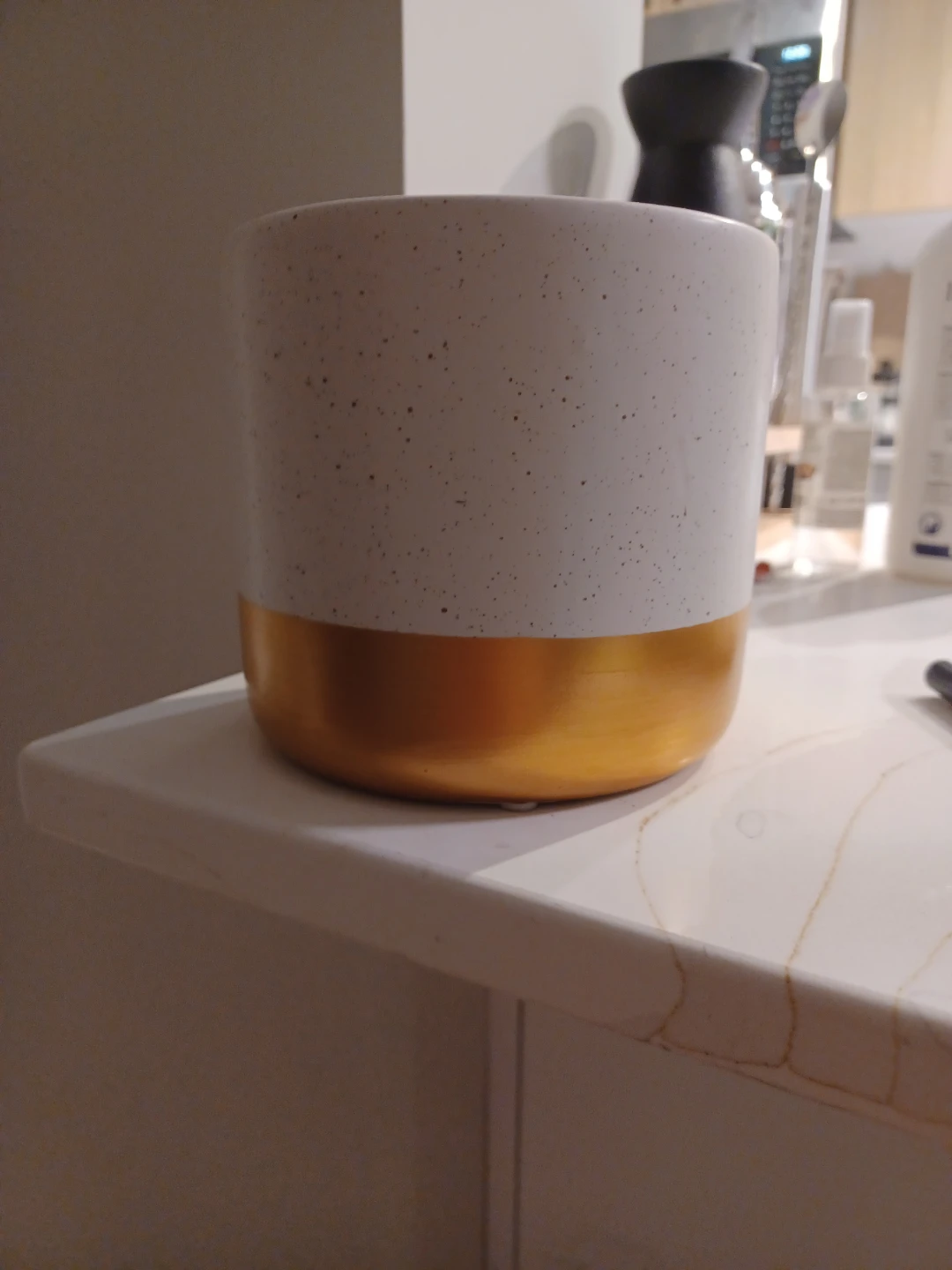 White and Gold Plant Pot