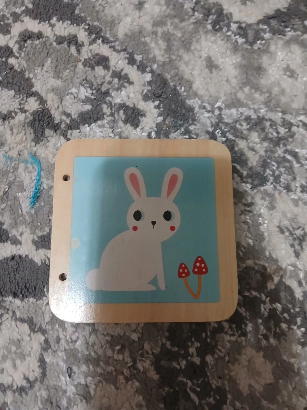 Wooden Rabbit Book Page🏈