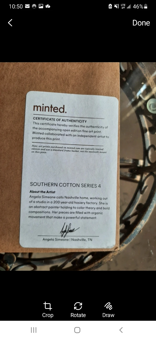 Southern Cotton Series 4, Angela Simione - photo 3
