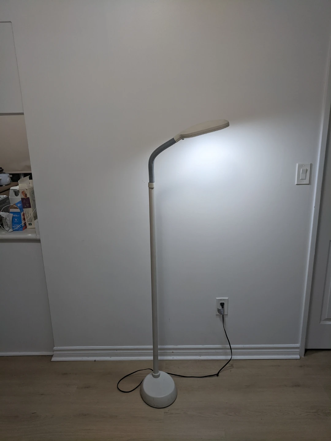 Adjustable Floor Lamp