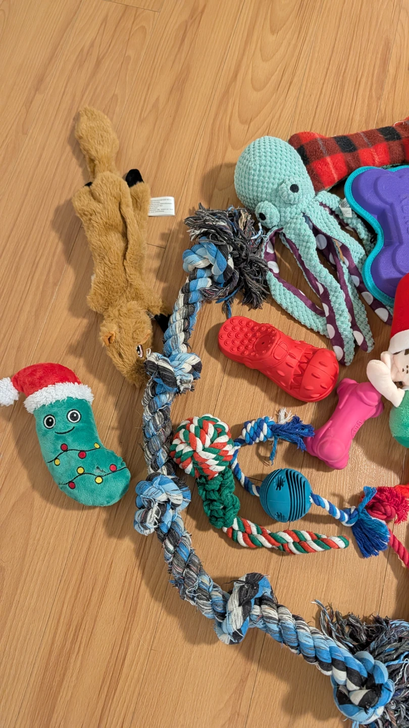 Large Collection of Assorted Dog Toys (Almost All Brand New) - photo 2