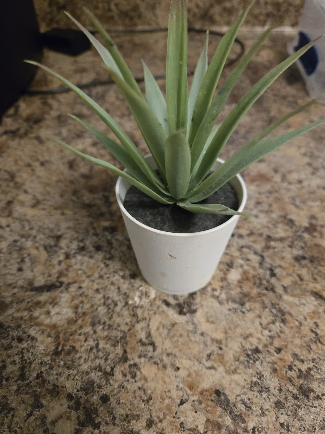 Artificial Potted Agave Plant 🏈