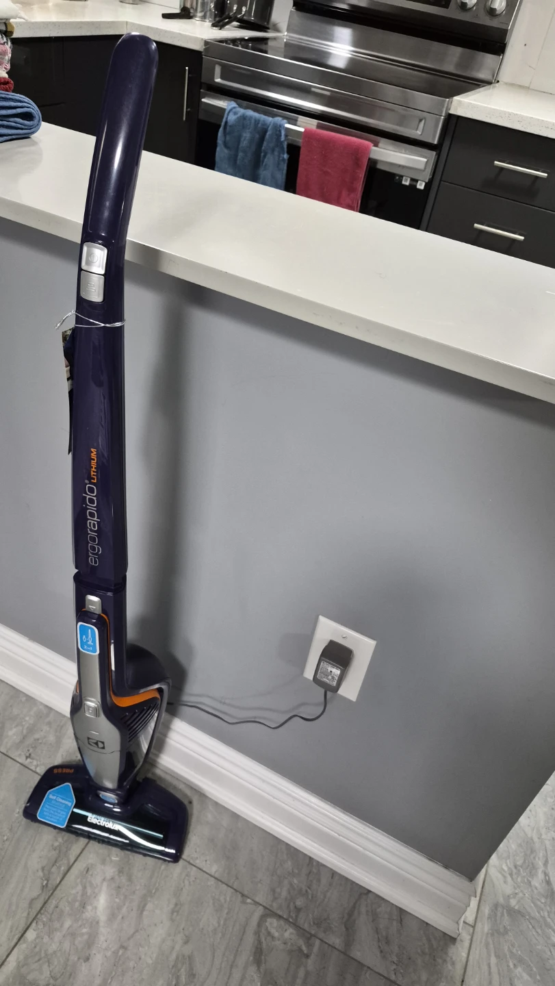 Electrolux Ergorapido Lithium 2-in-1 Cordless Vacuum
