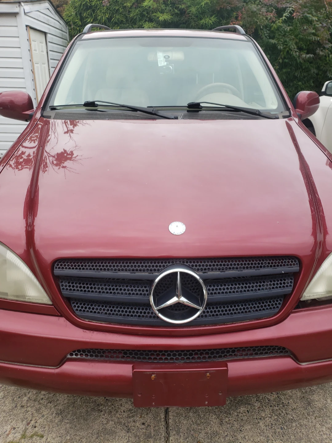 Mercedes Benz