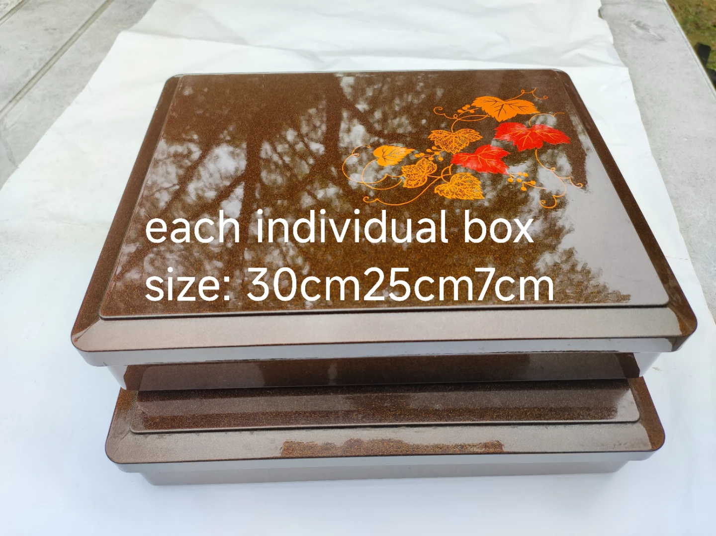Set of 2 Japanese Bento Box Containers - photo 2