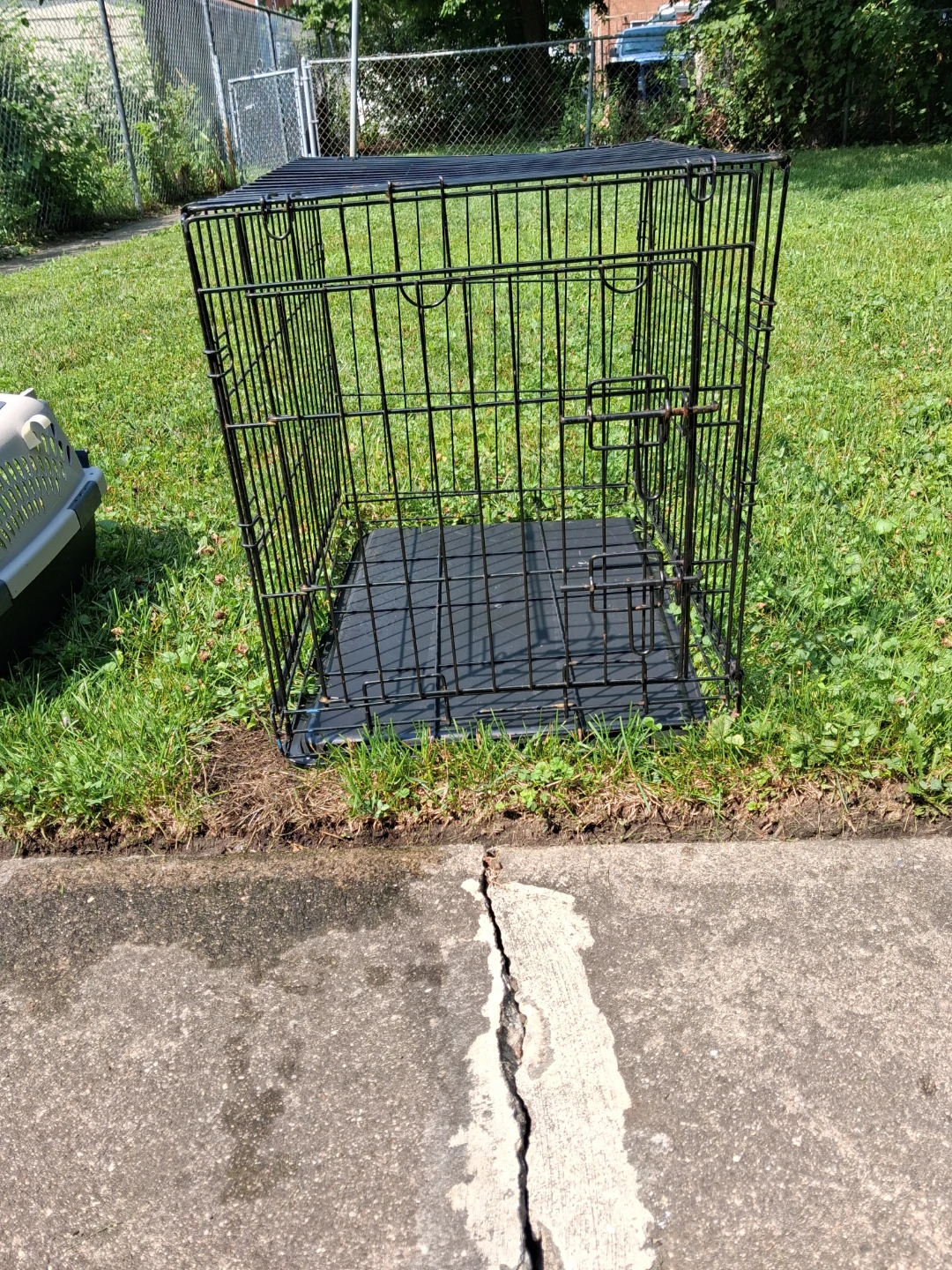 Black Wire Dog Crate