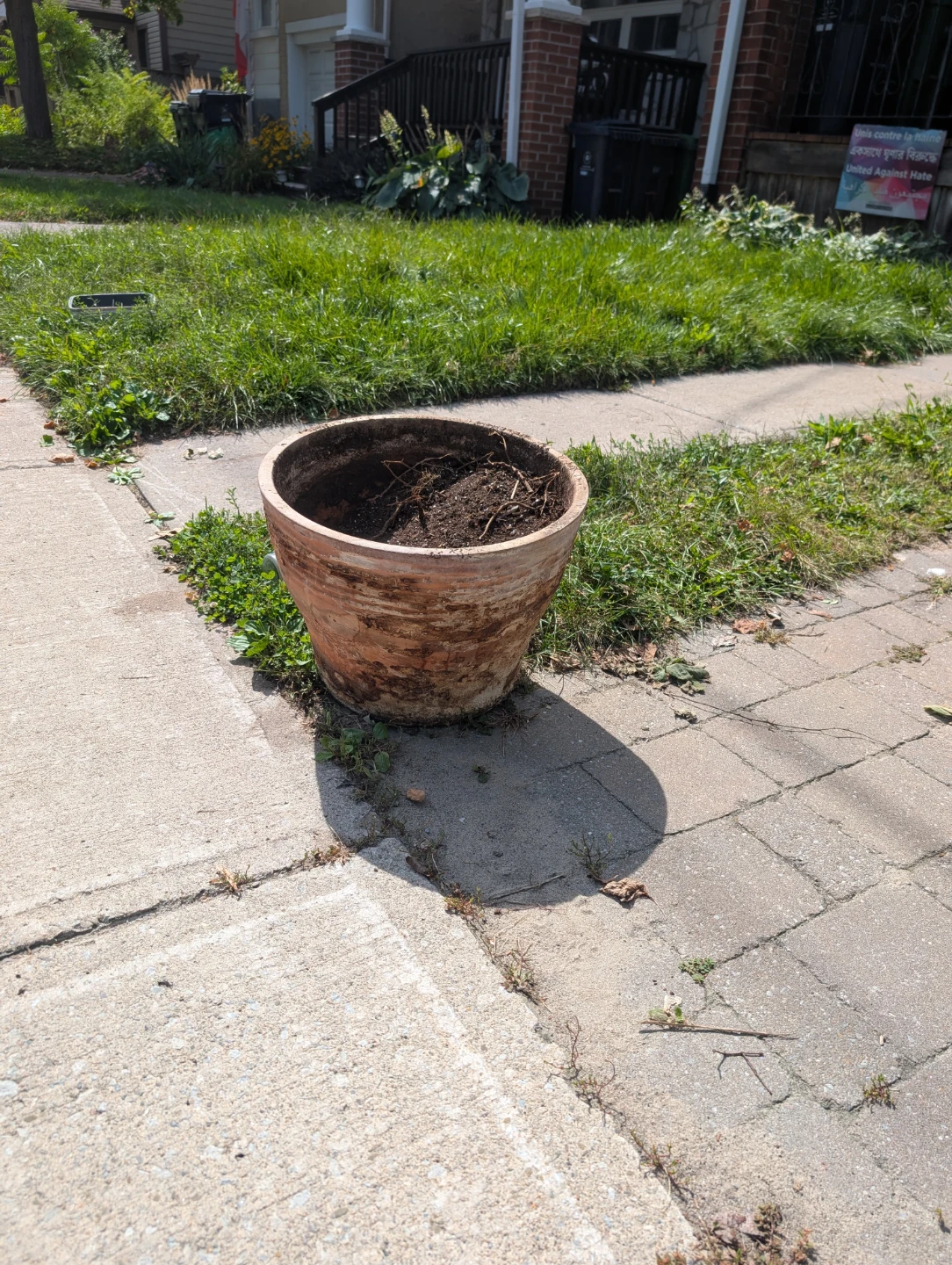 Free BIG terracotta pot