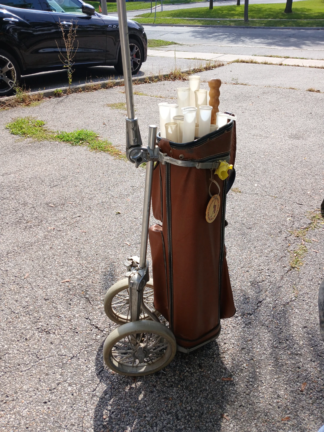 Vintage Golf Bag with Pull Cart