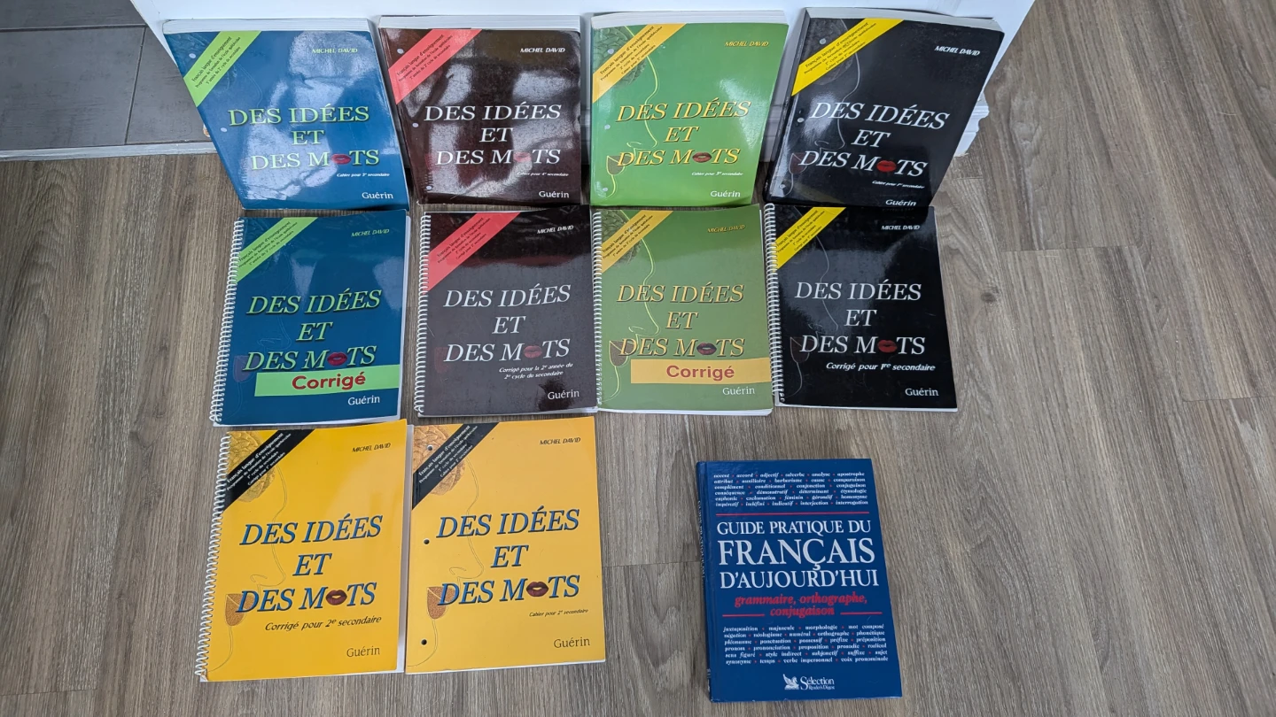 13 French books for french learners