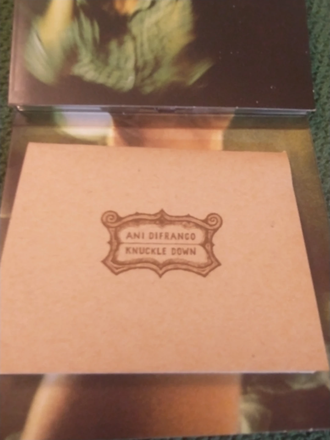 Ani DiFranco - Knuckle Down CD - photo 5
