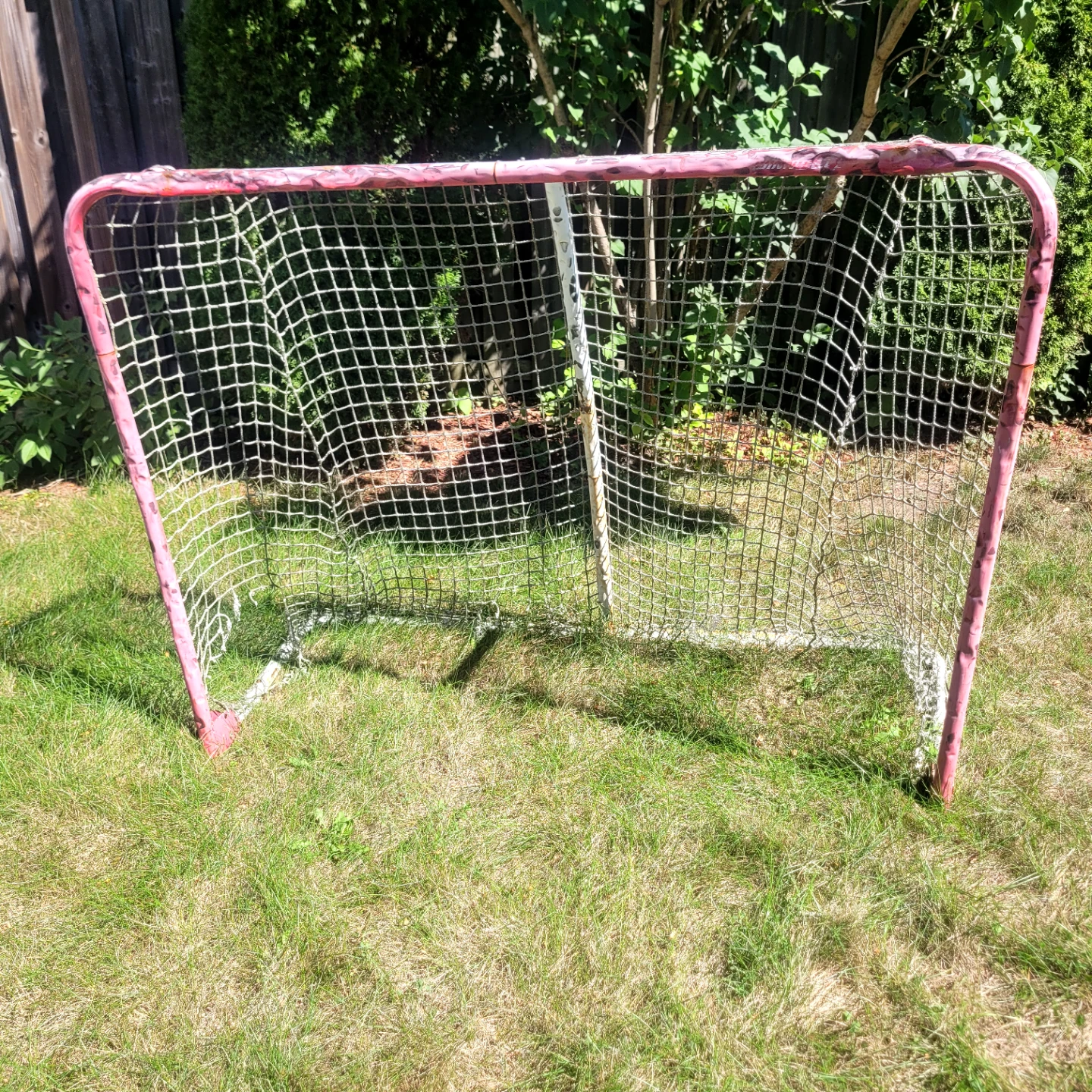 Hockey Net