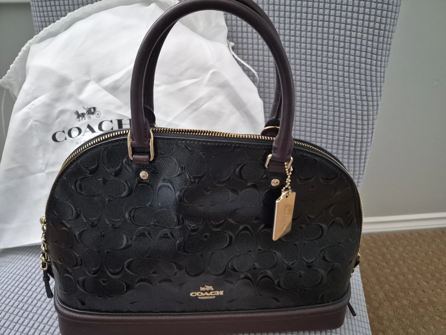 Coach Signature Dome Satchel🏈