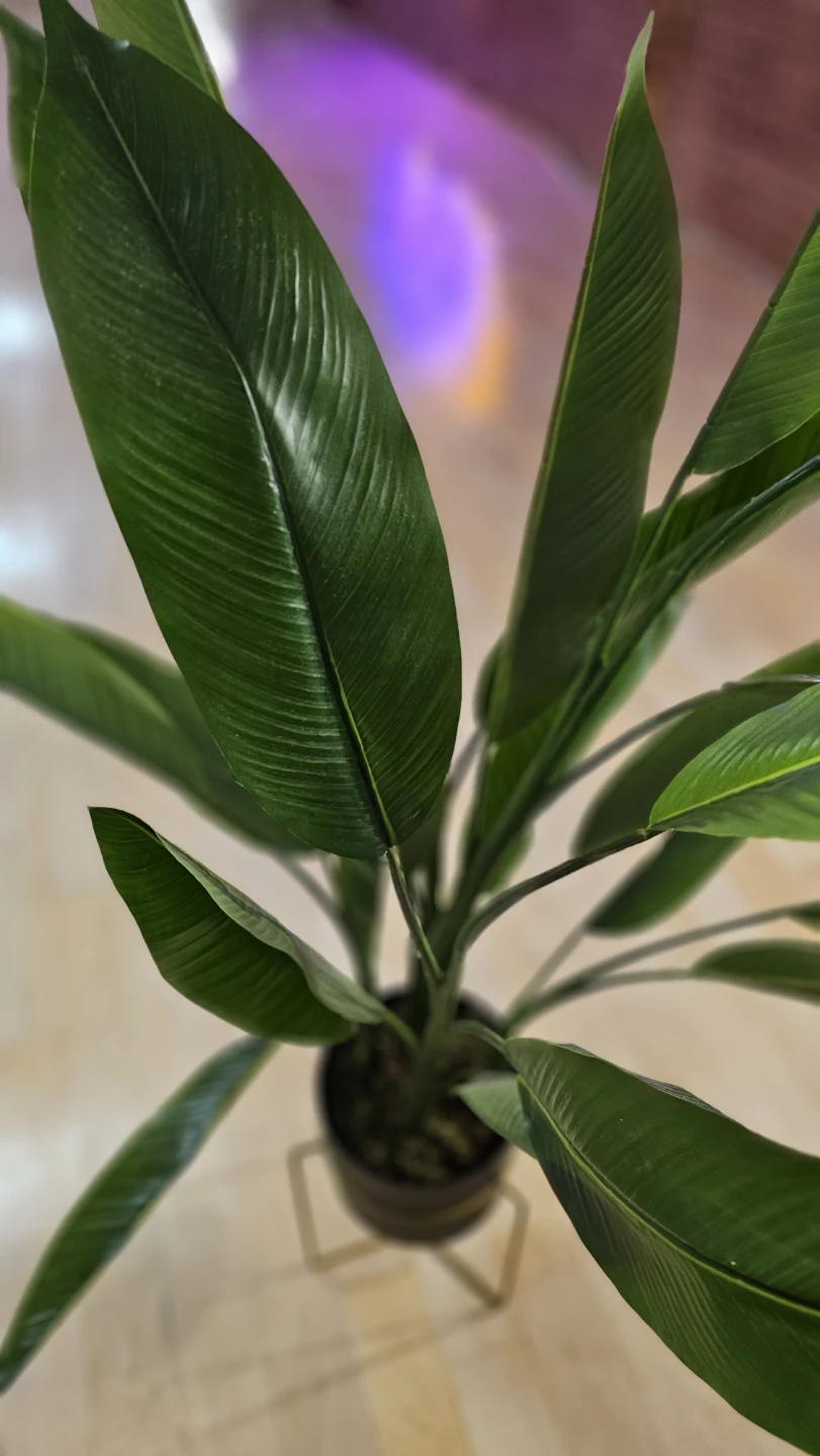 Artificial Bird of Paradise Plant with Metal Stand - photo 3