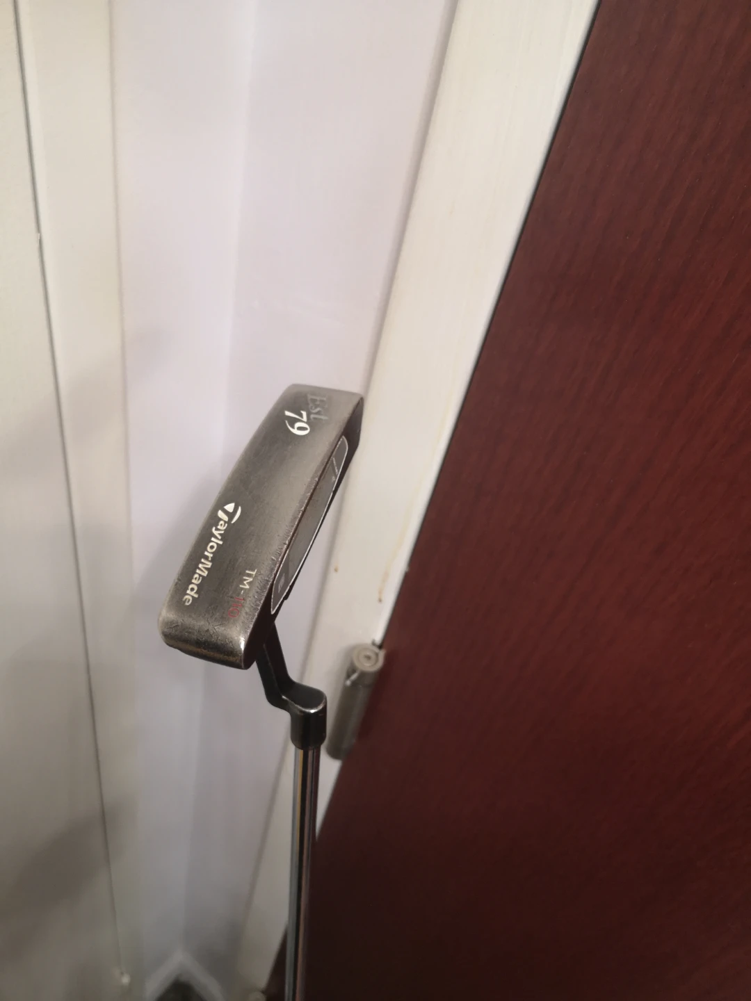 TaylorMade Est. 79 TM-110 Putter - photo 3