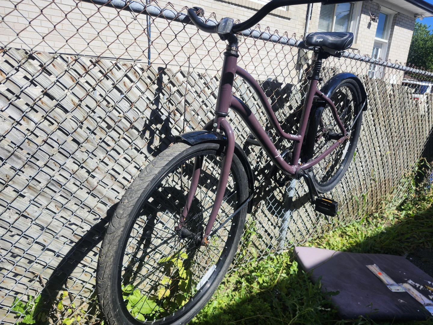 Capix Valencia Cruiser Bicycle - photo 3