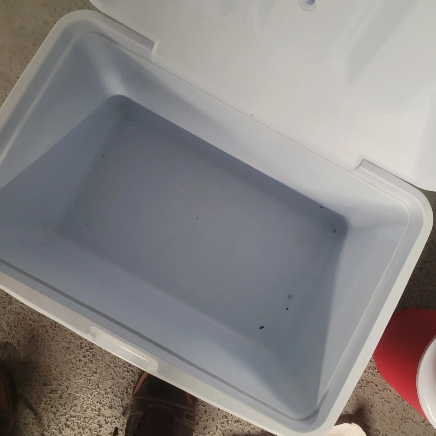 Rubbermaid Cooler and Jug Set - photo 3