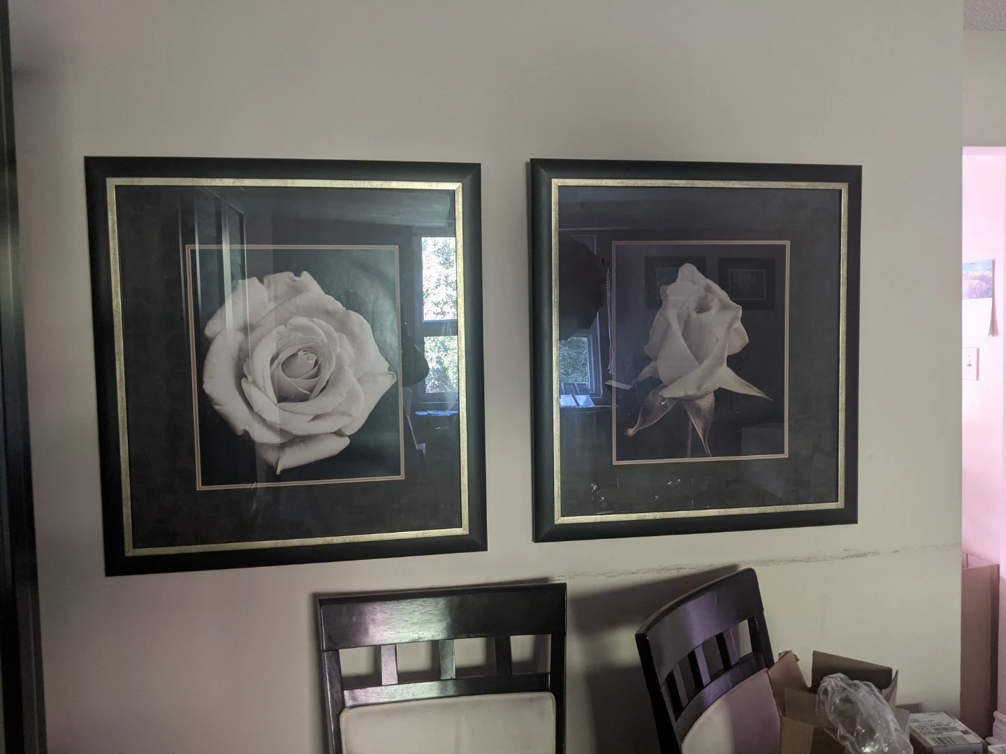 Set of Two Framed Rose Prints