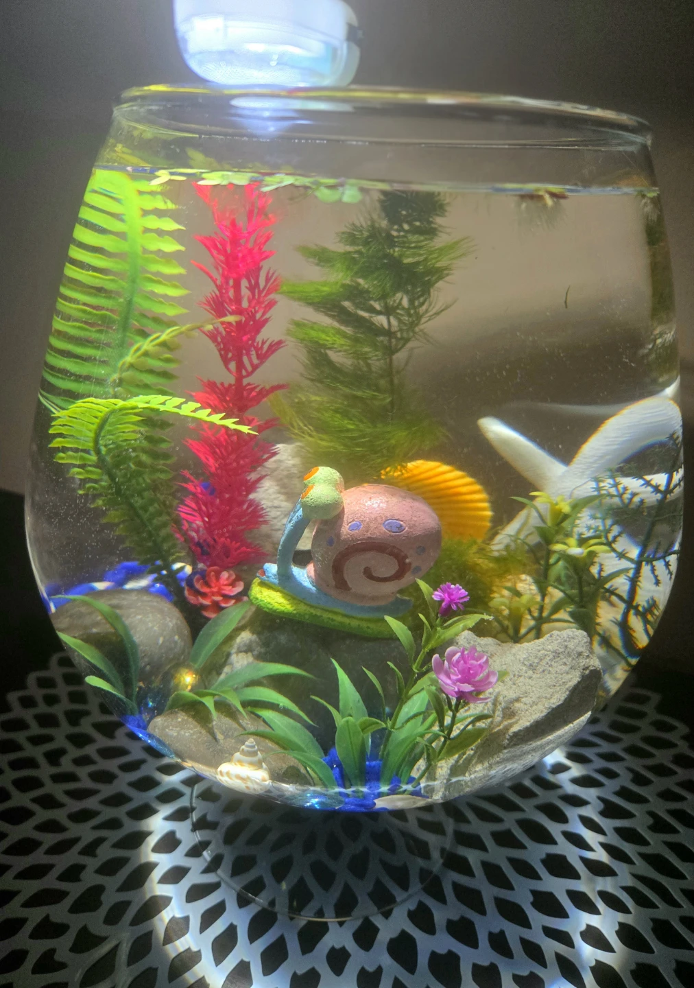 Glass-Shaped 2 Gal Aquarium