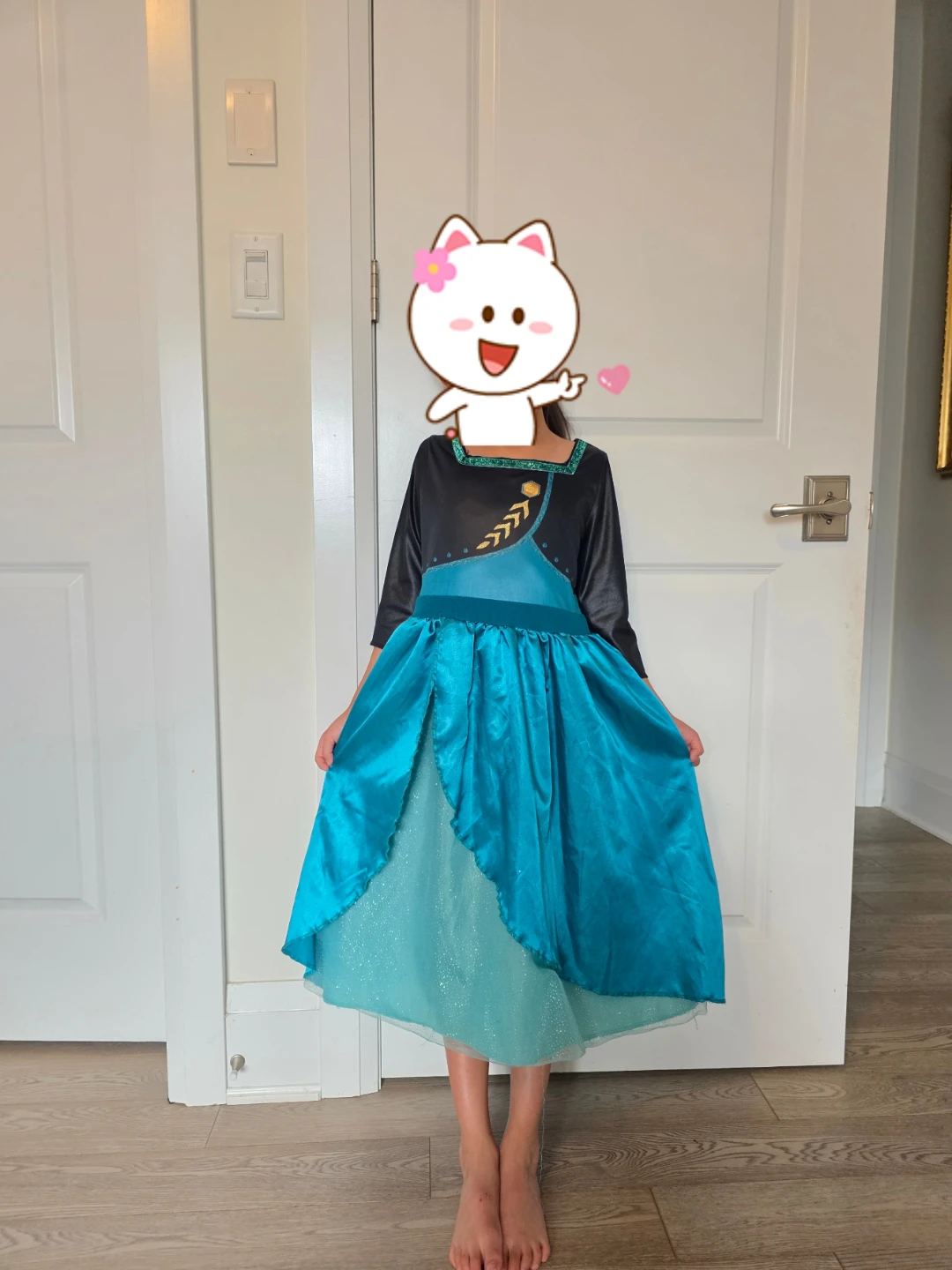 Disney Frozen Anna Costume
