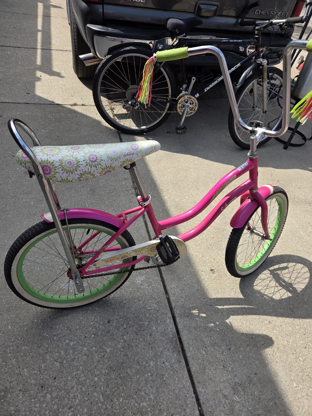 Schwinn Girl's Pink Bicycle with Floral Seat
