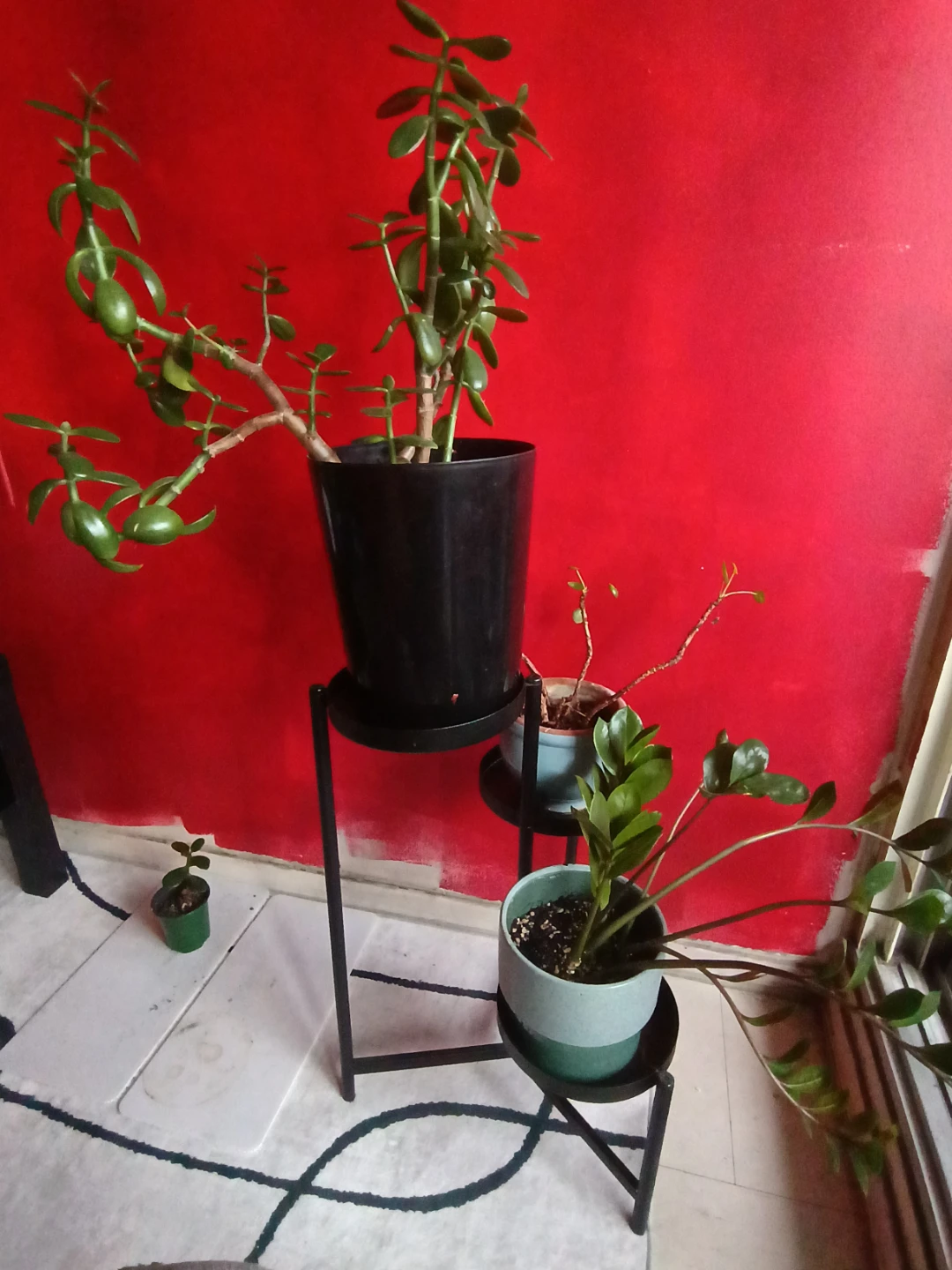 3-Tier Metal Plant Stand