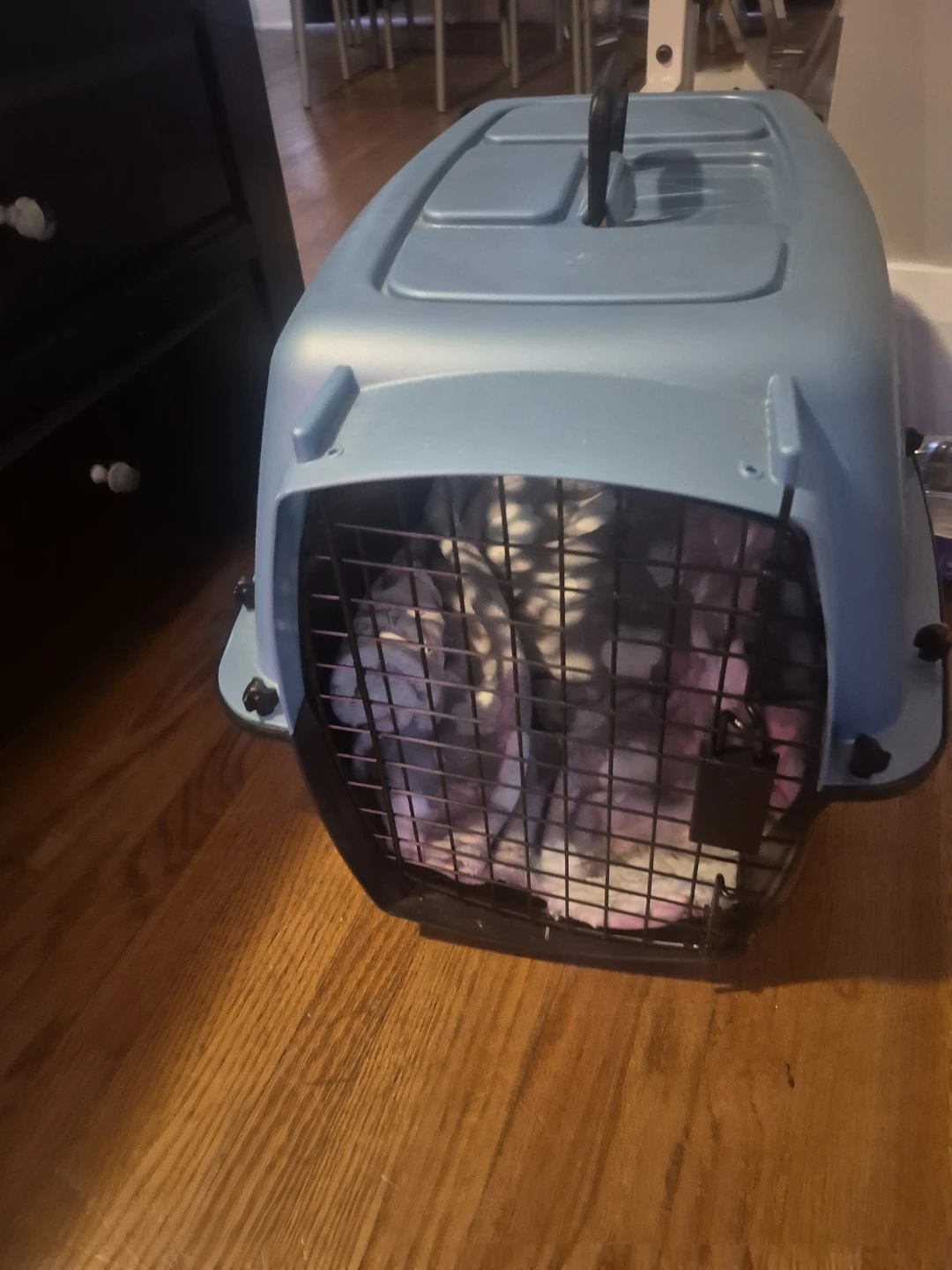 Dog Crate / Cat carrier - photo 2