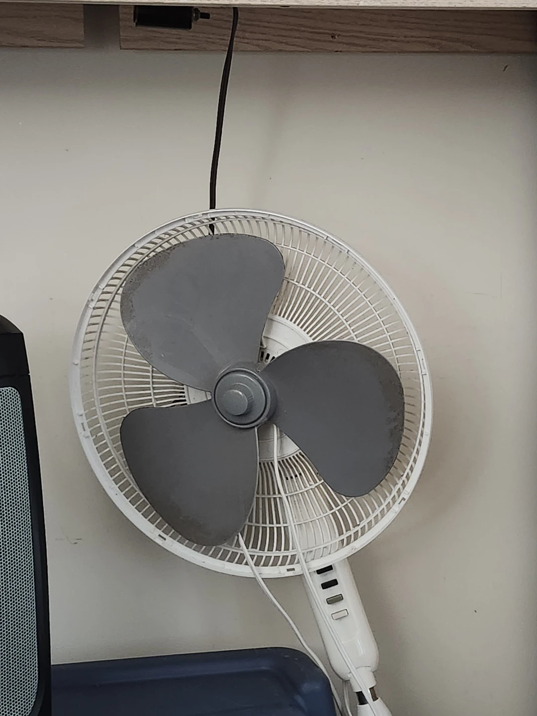 White  Oscillating Fan