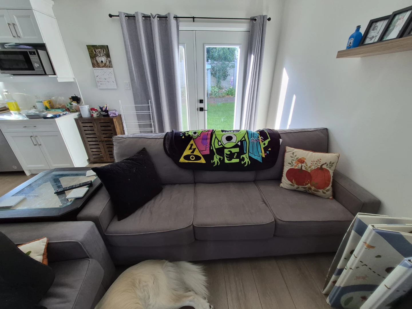 2 Grey Couches - photo 3