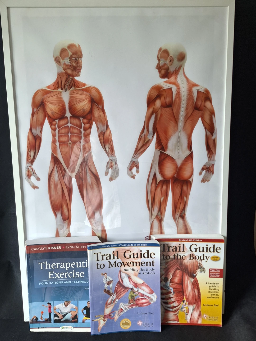 Medical Textbooks and Anatomical Chart Bundle