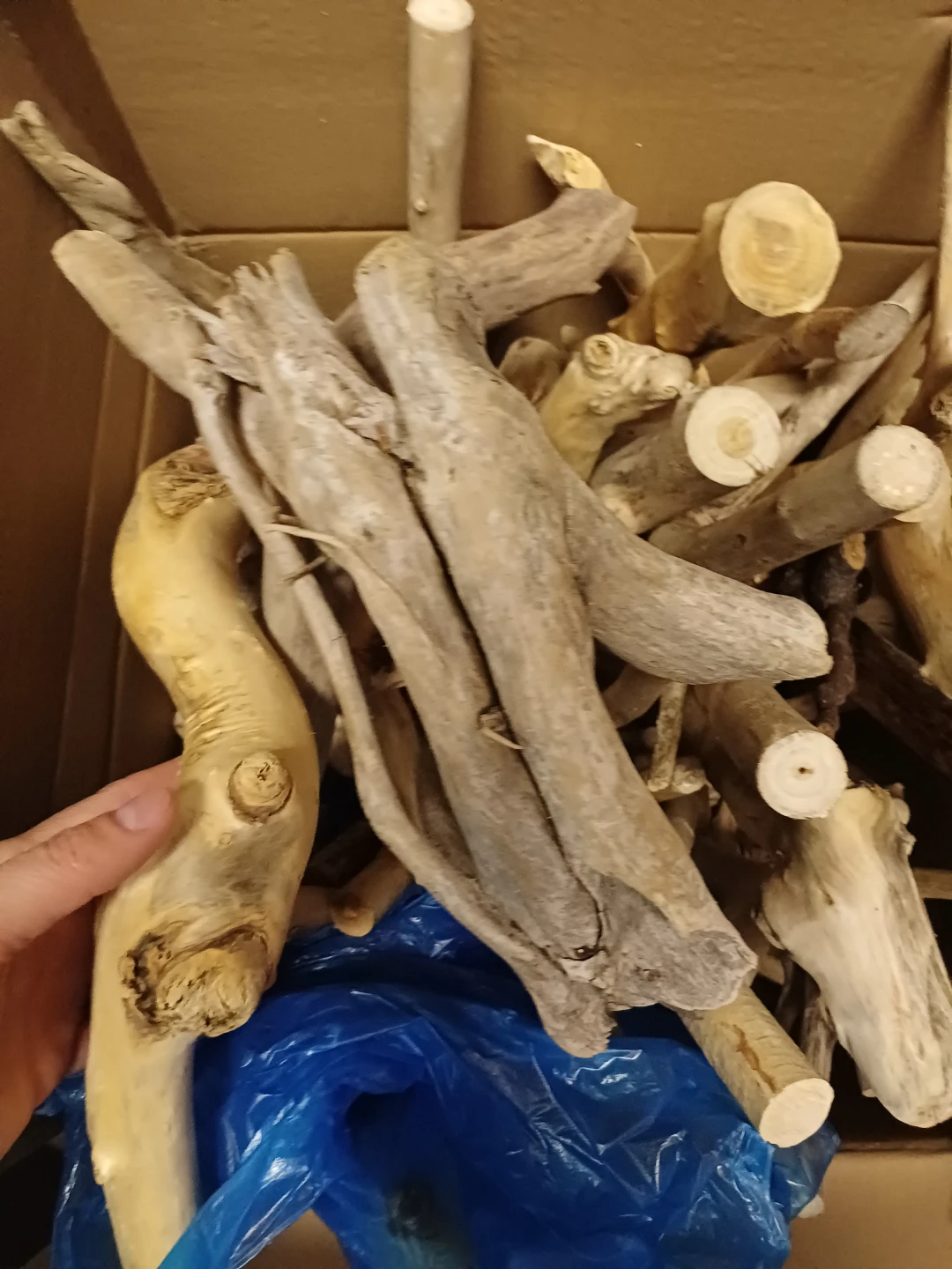 Box of Assorted Natural Driftwood Pieces