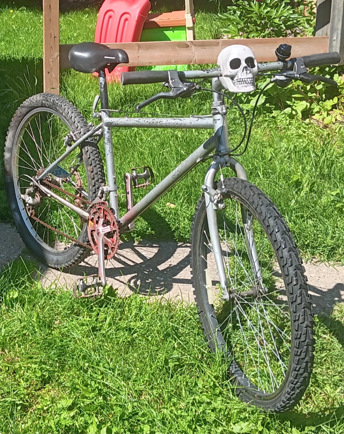 Trading bikes for e bike