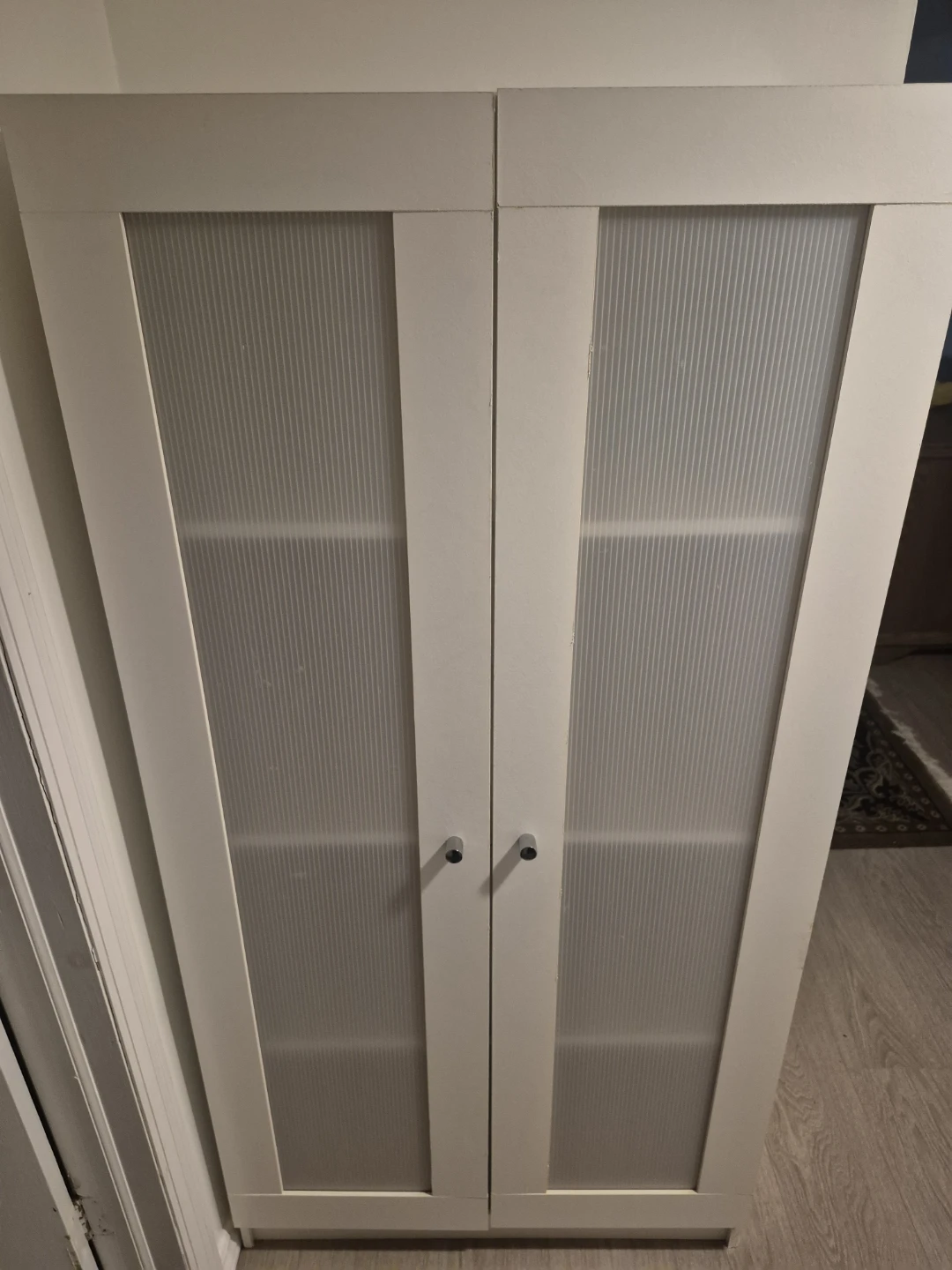 White Two-Door Cabinet with Frosted Glass - photo 2