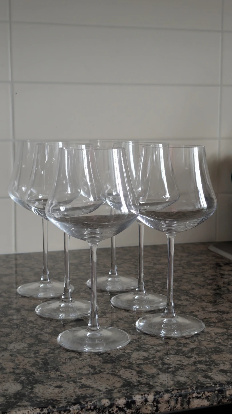 RCR Ego Crystal Glass Wine Glasses - Set of 6