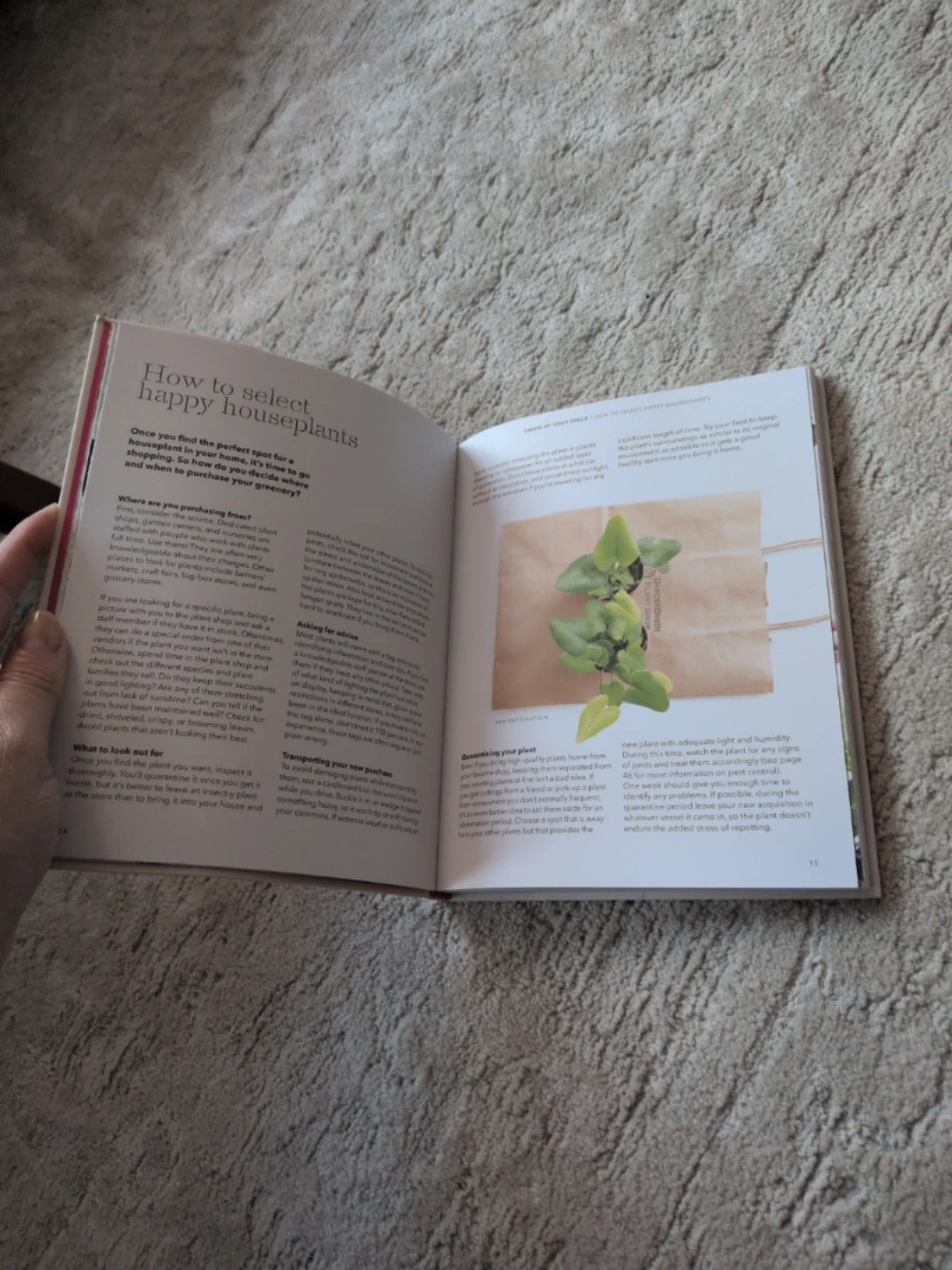 How to Raise a Plant and Make it Love You back - photo 5