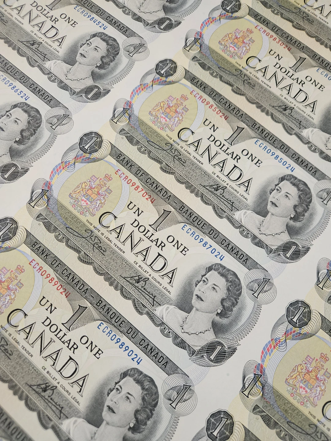 Sheet of Uncirculated Canadian One Dollar Bills 1973