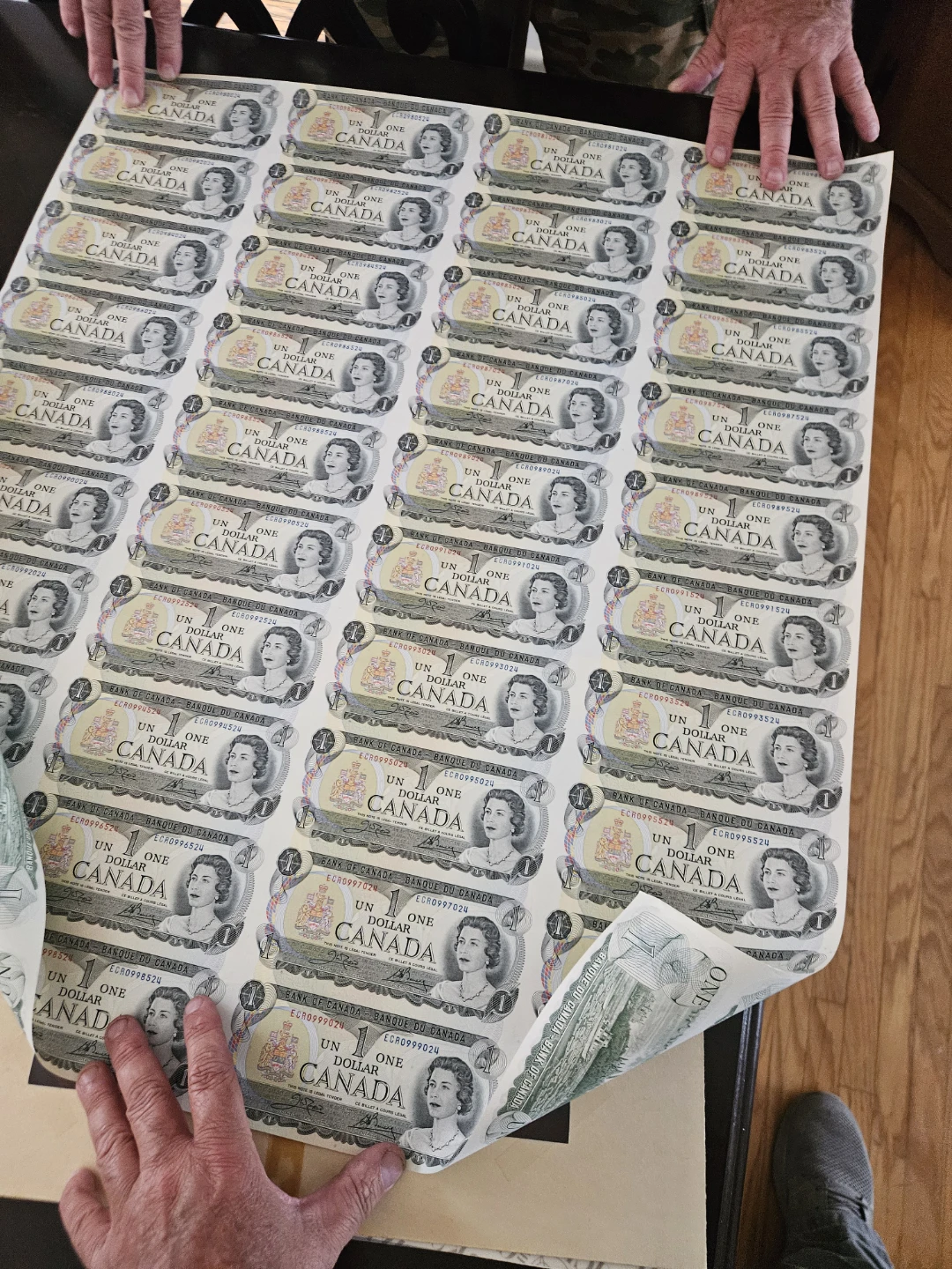 Sheet of Uncirculated Canadian One Dollar Bills 1973 - photo 2