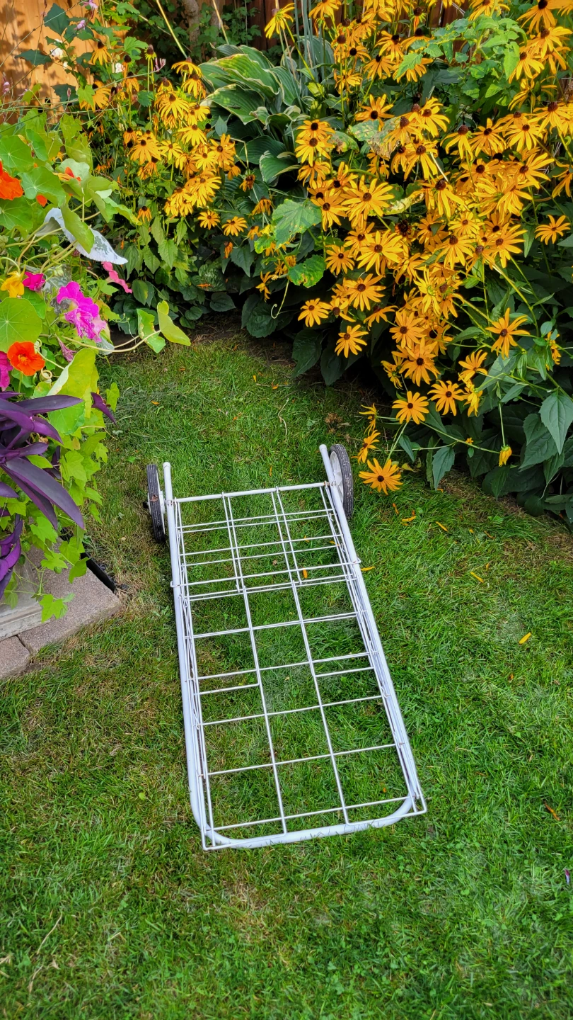 White Folding Shopping Cart-$10 - photo 3