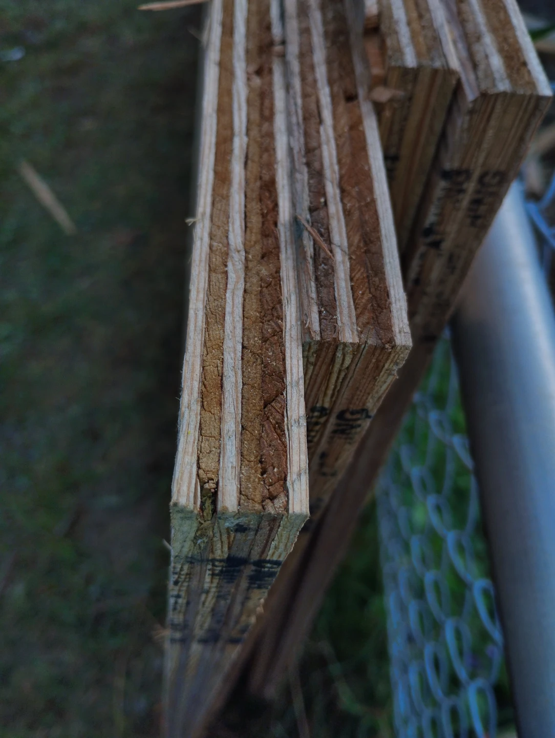 4 Sheets of Plywood Sheathing 3/4" - photo 4