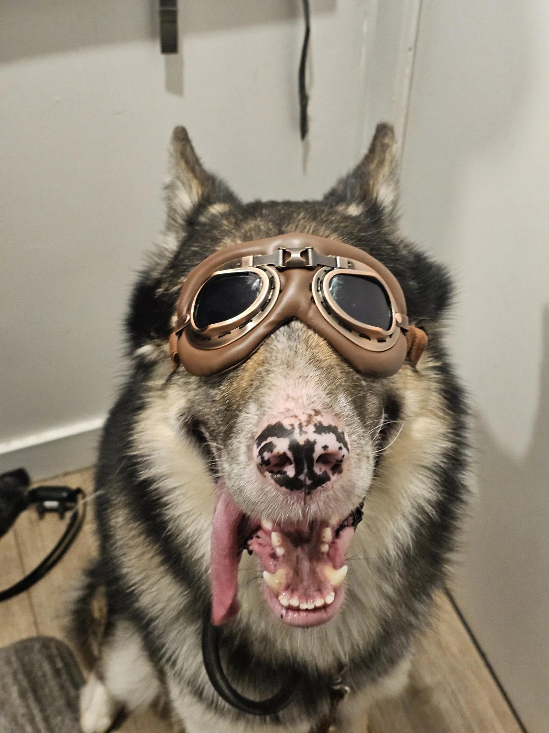 Vintage-Style Pet Goggles (small-med size) - photo 2