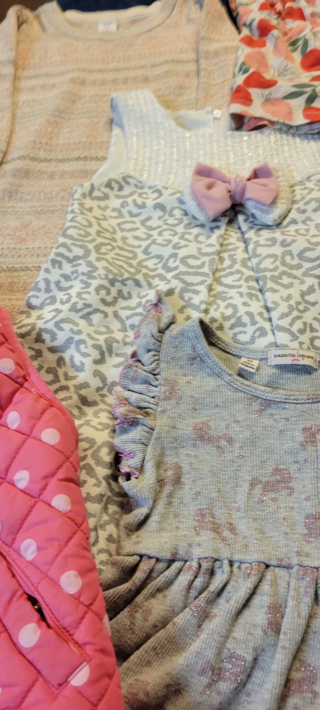 Toddler Girl Clothing Bundle Size 3T - photo 2