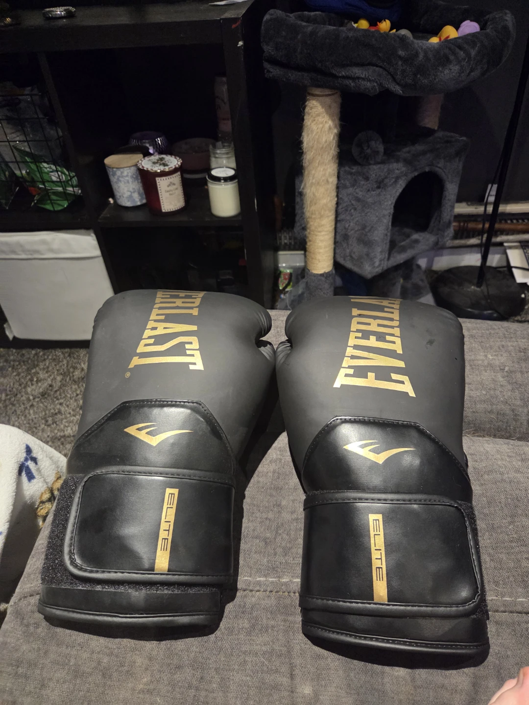 Everlast Elite Boxing Gloves adult size