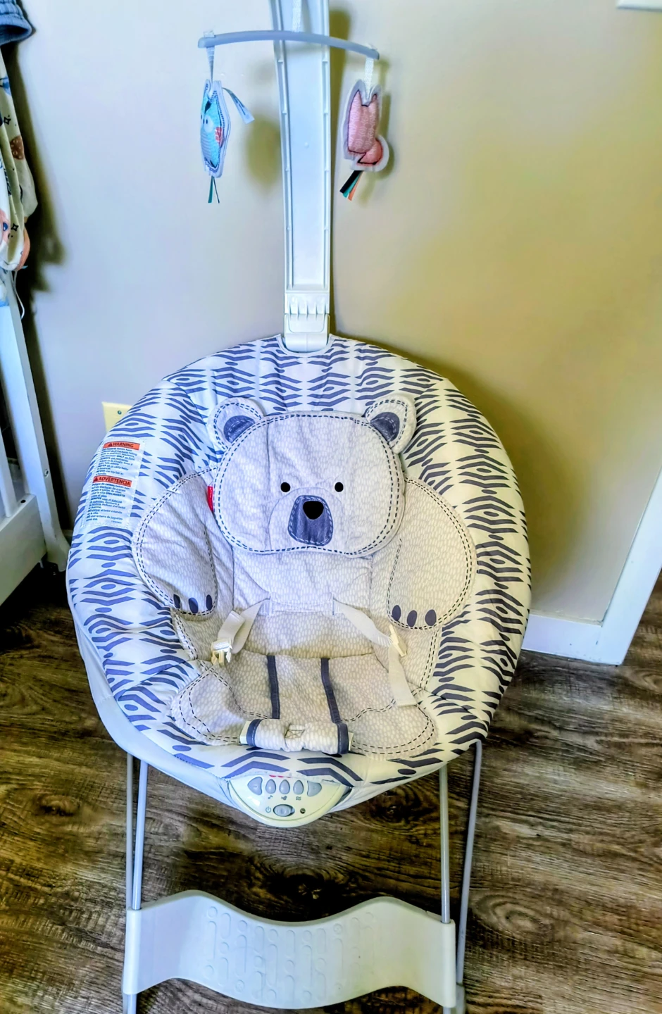 Fisher-Price Baby Bouncer with Bear Design