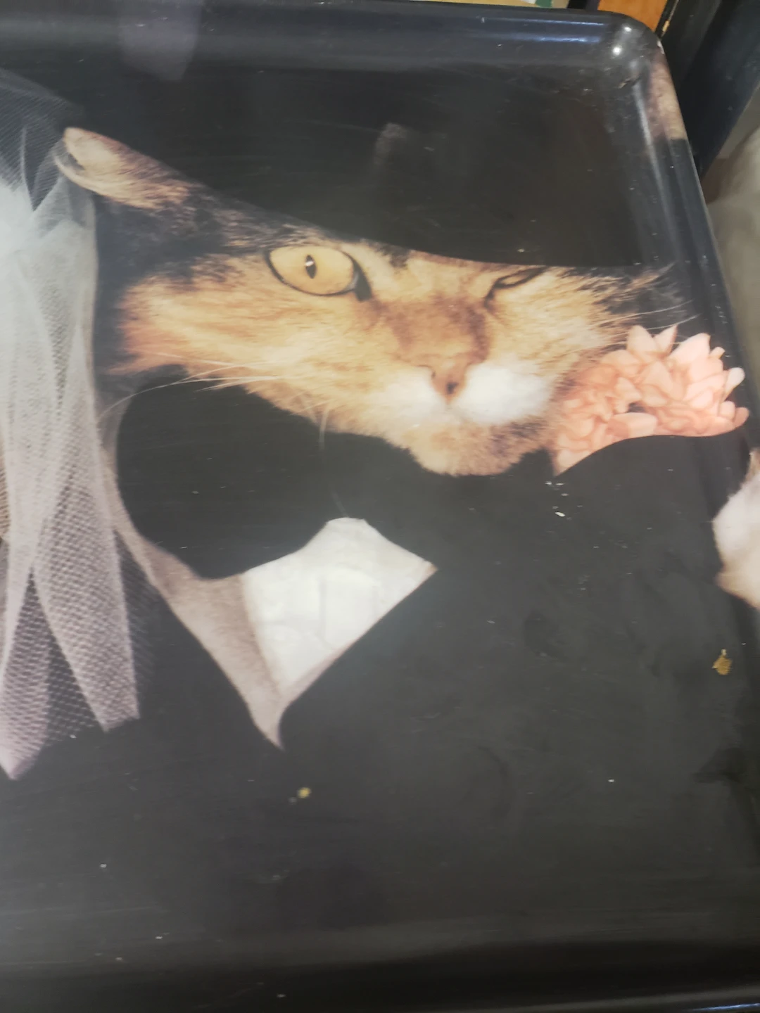Keller Charles Wedding Cat Serving Tray - photo 4