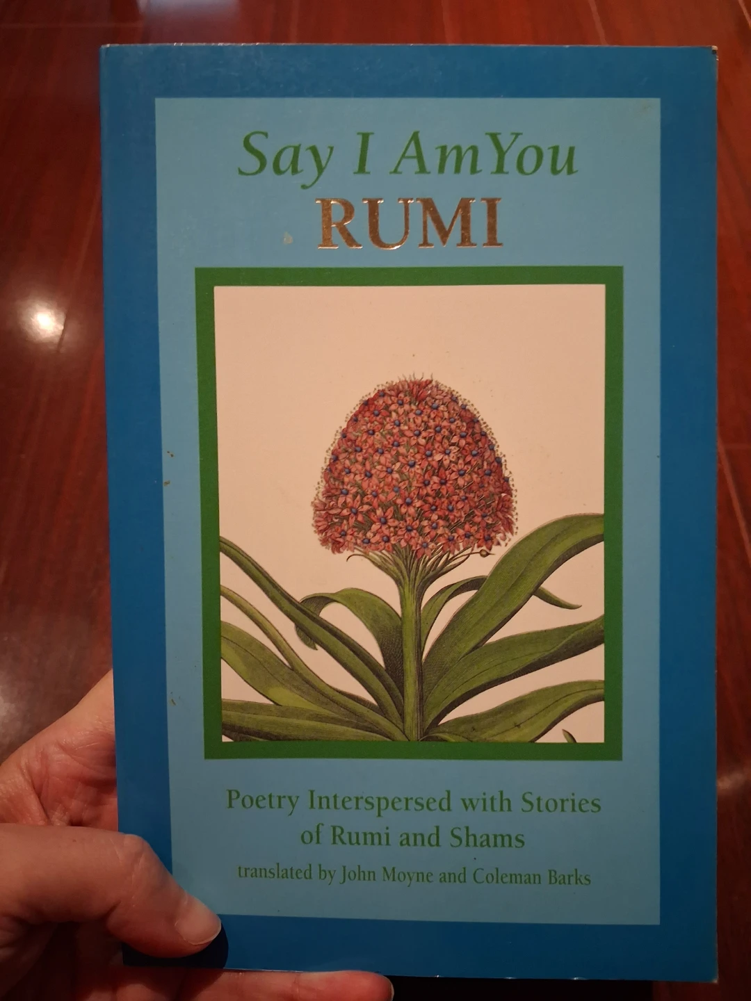 Say I Am You by Rumi