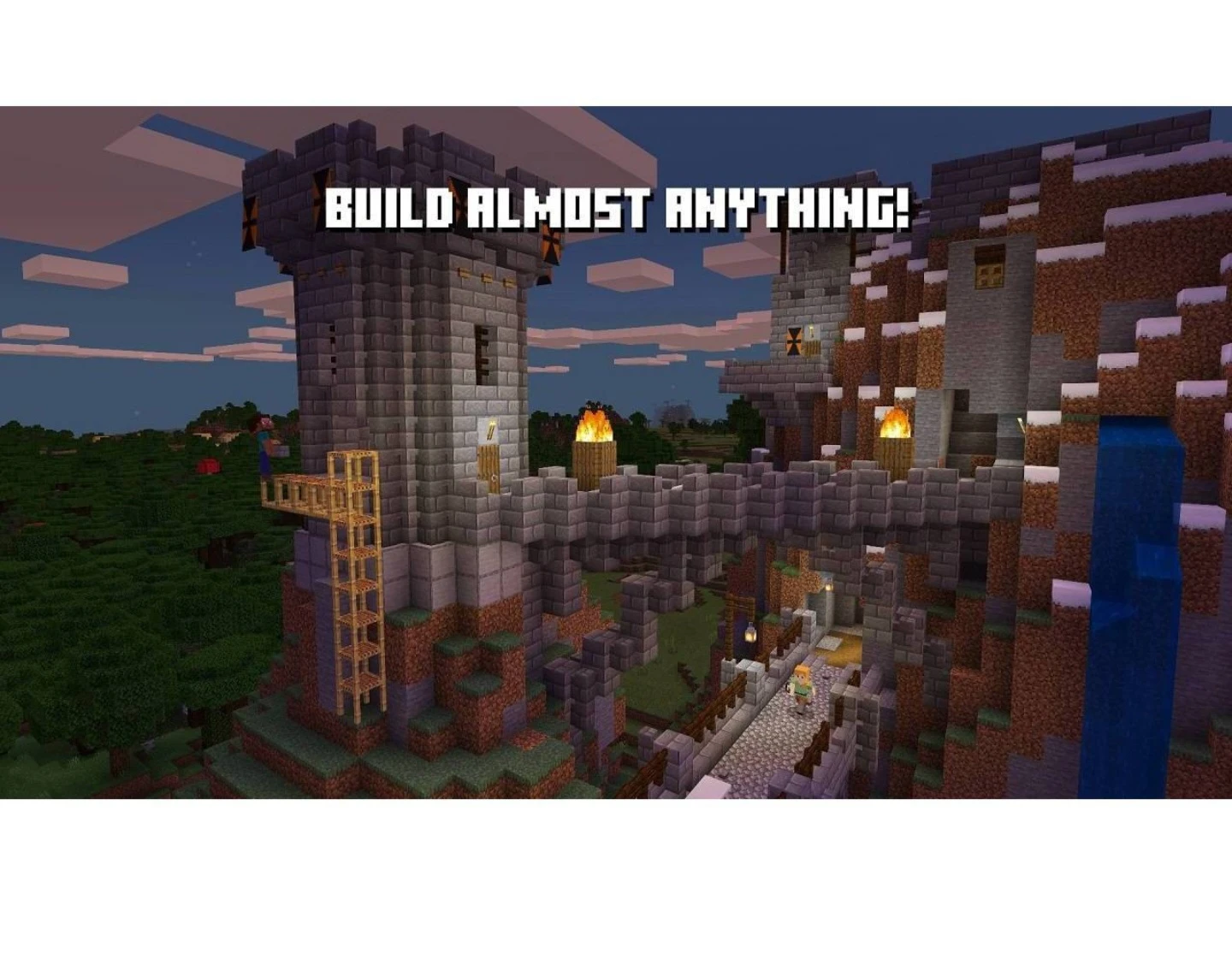 Minecraft for Nintendo Switch - photo 4