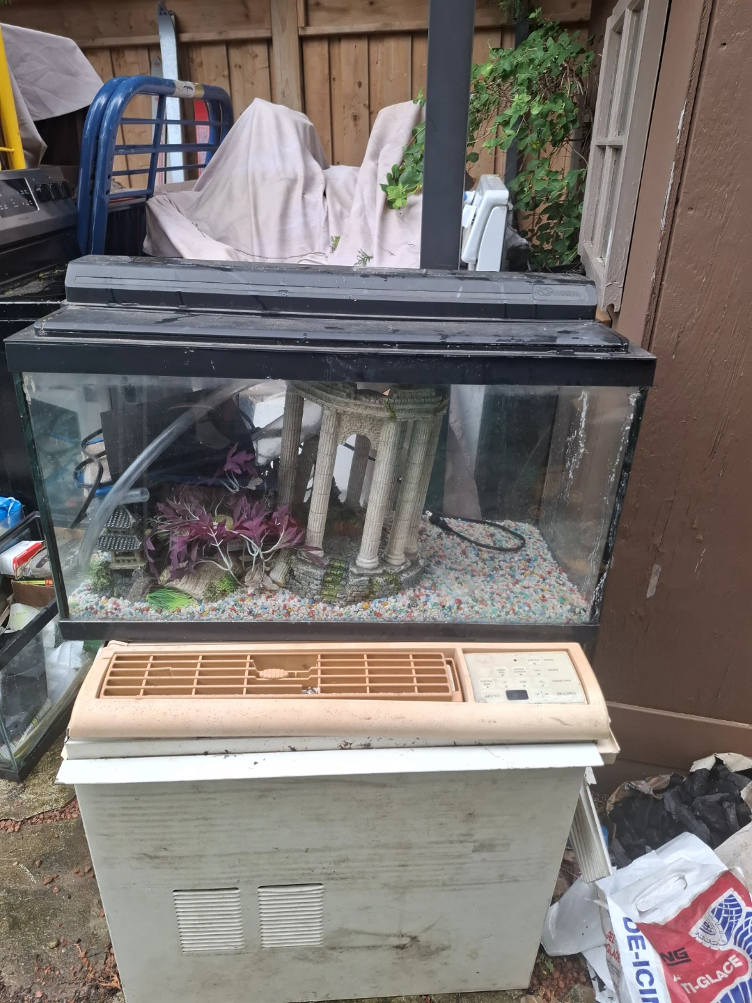 Glass Aquarium with Decor