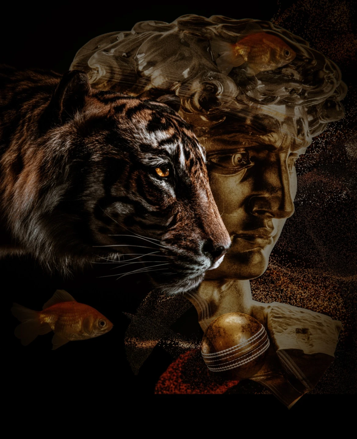 We Are Rare - photo 2