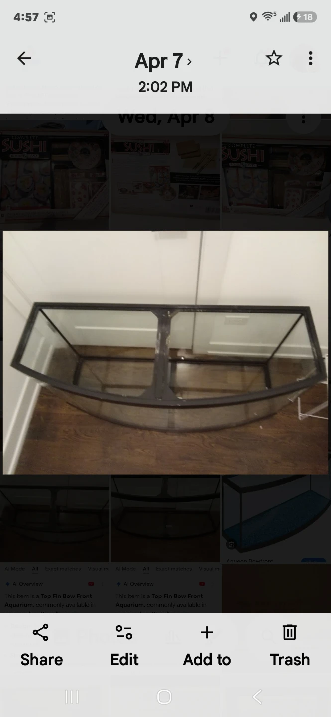 🏈Bowfront aquarium Tank Display - photo 2