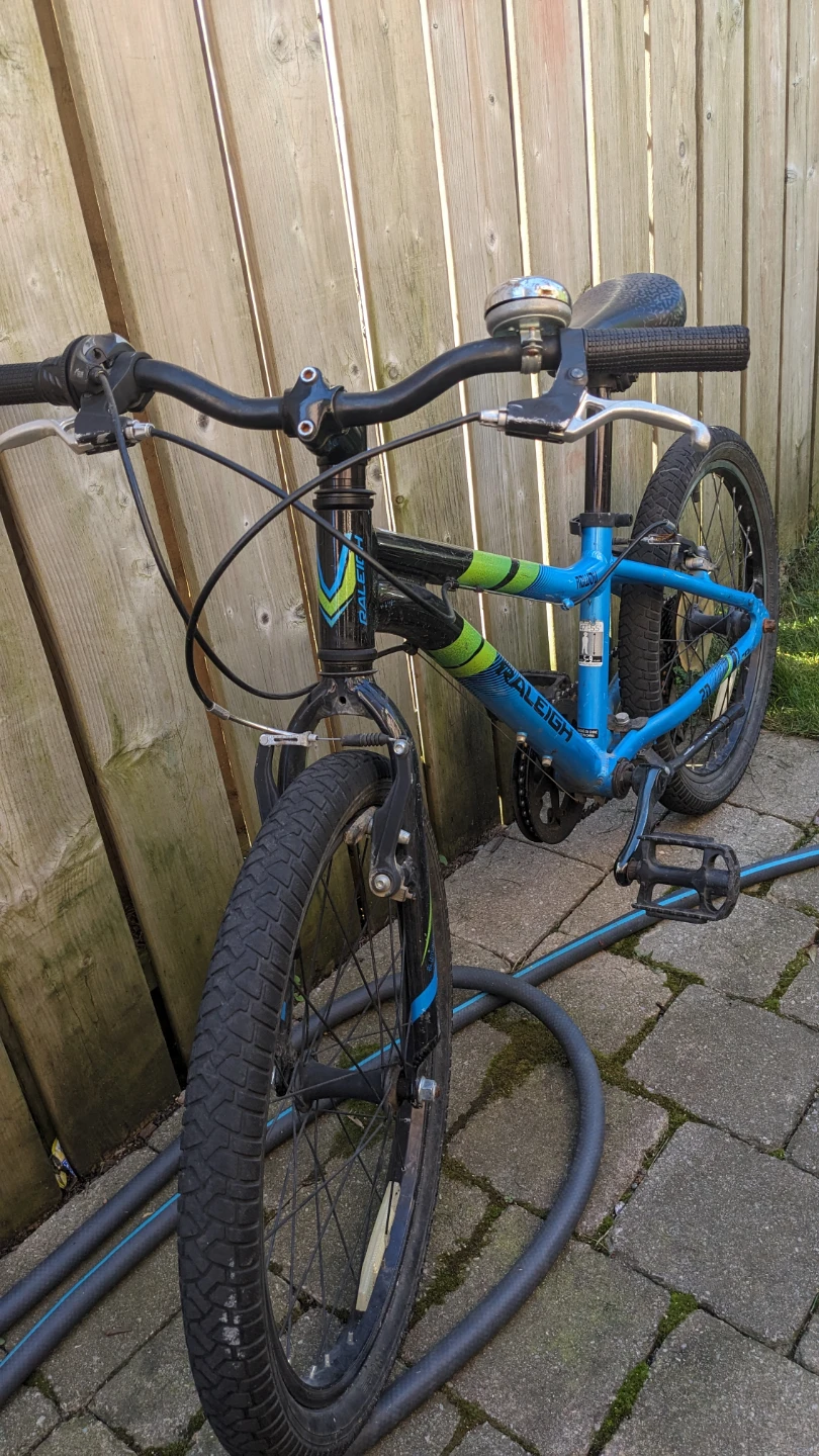 Raleigh Rowdy 20-inch Kids Bicycle