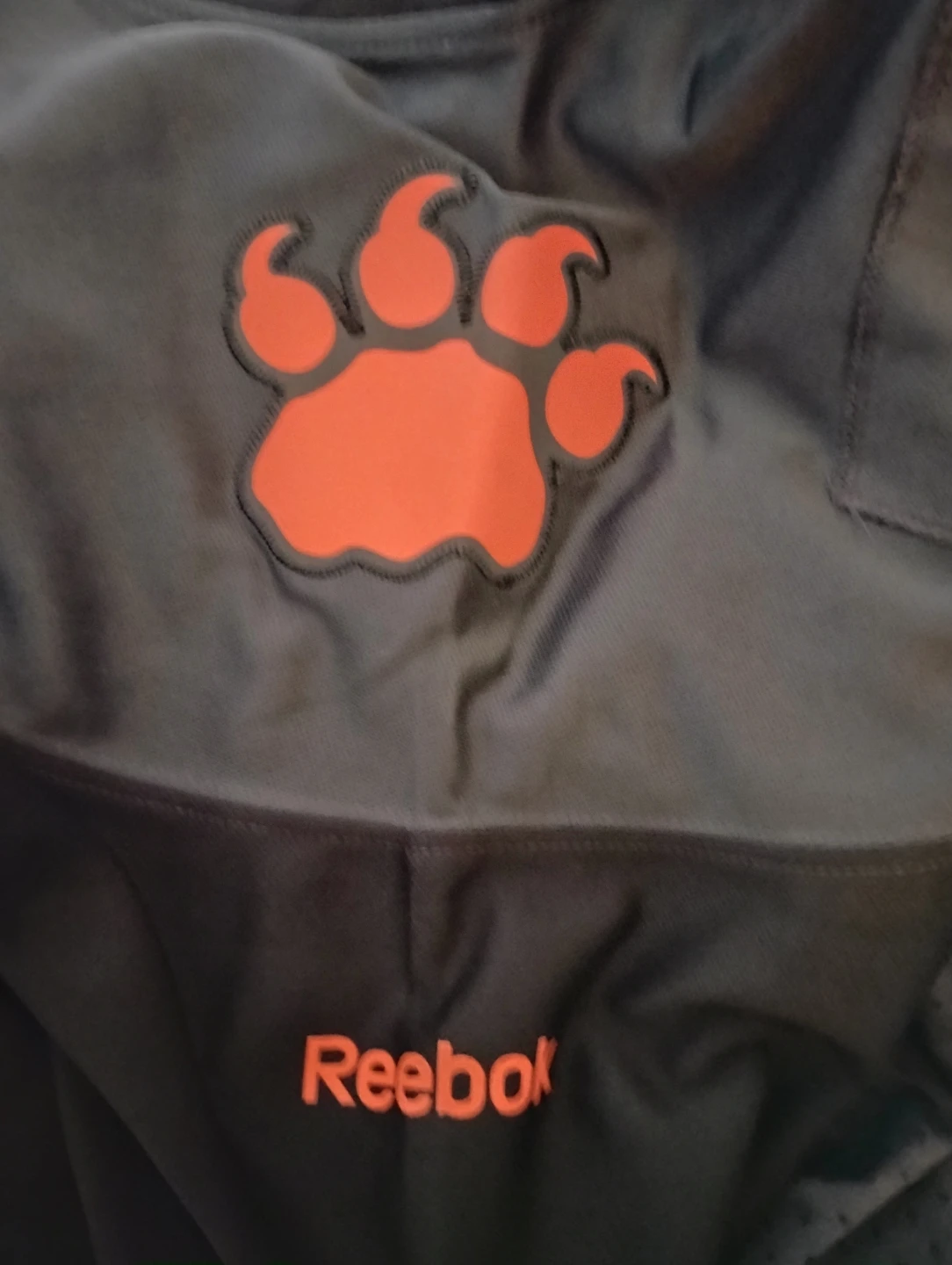 New BC Lions Jersey - photo 2
